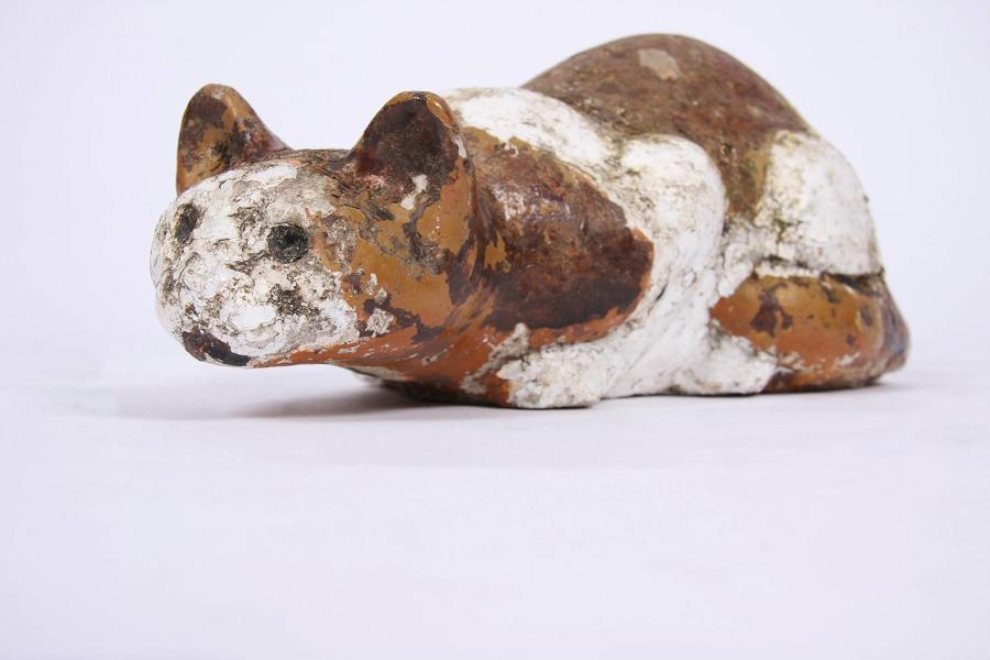 Stone Cat