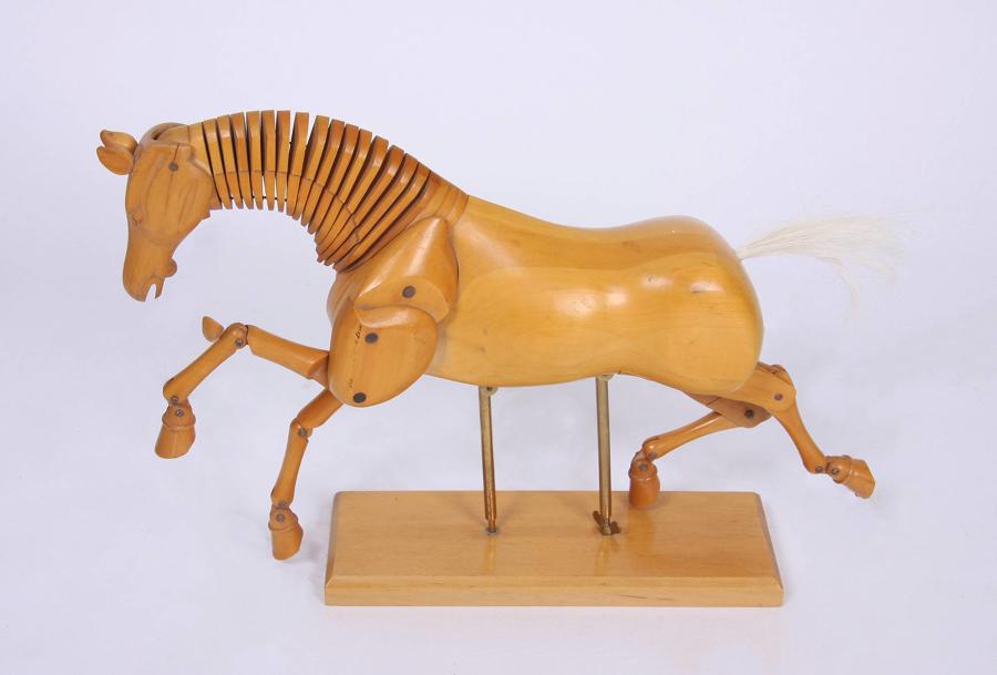 Horse Artist`s Model