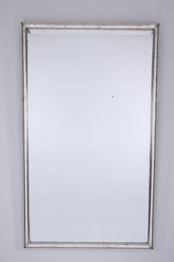Silver Leaf Mirror
