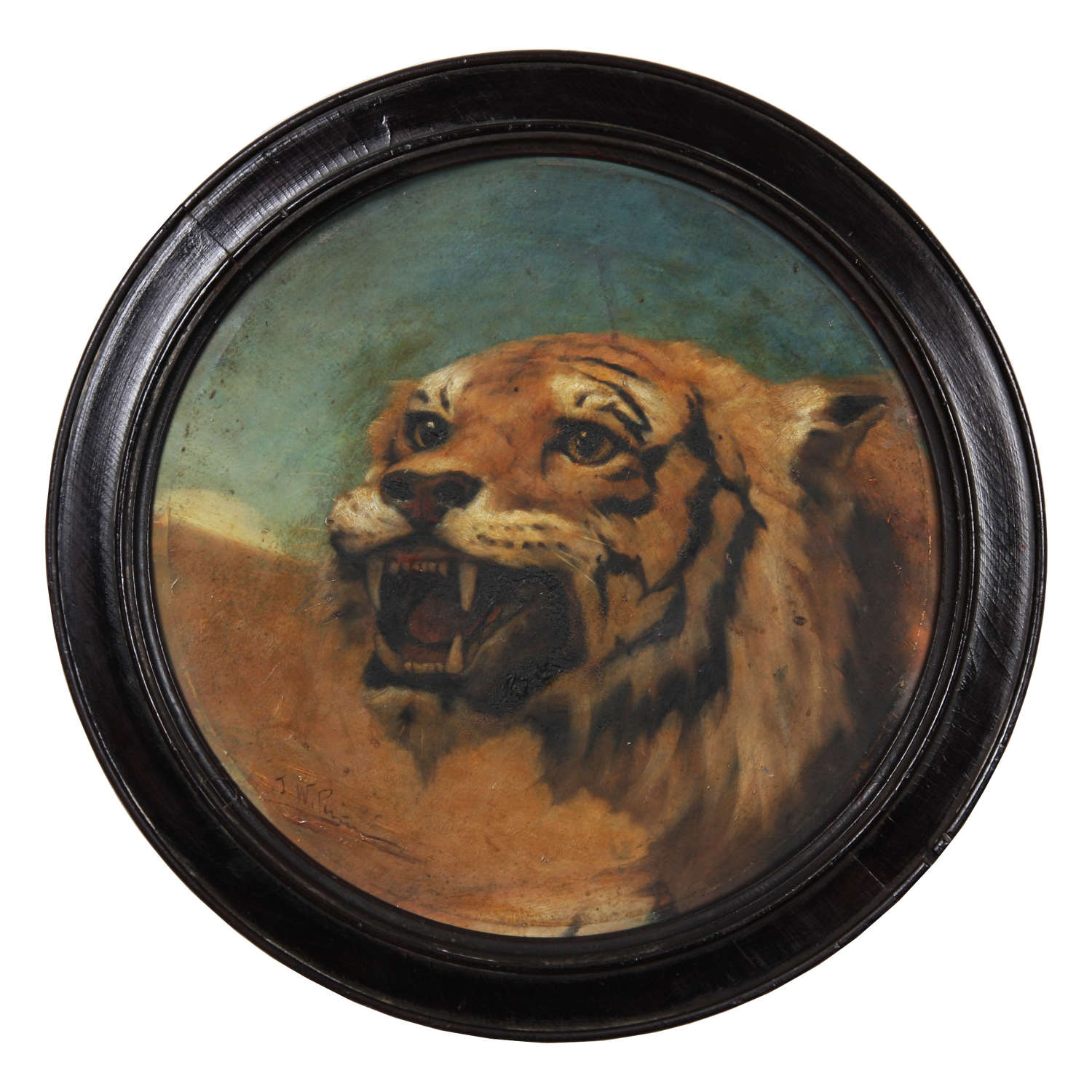 Tiger Oil on Canvas by J W Perrin